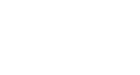 Play Hard Logo