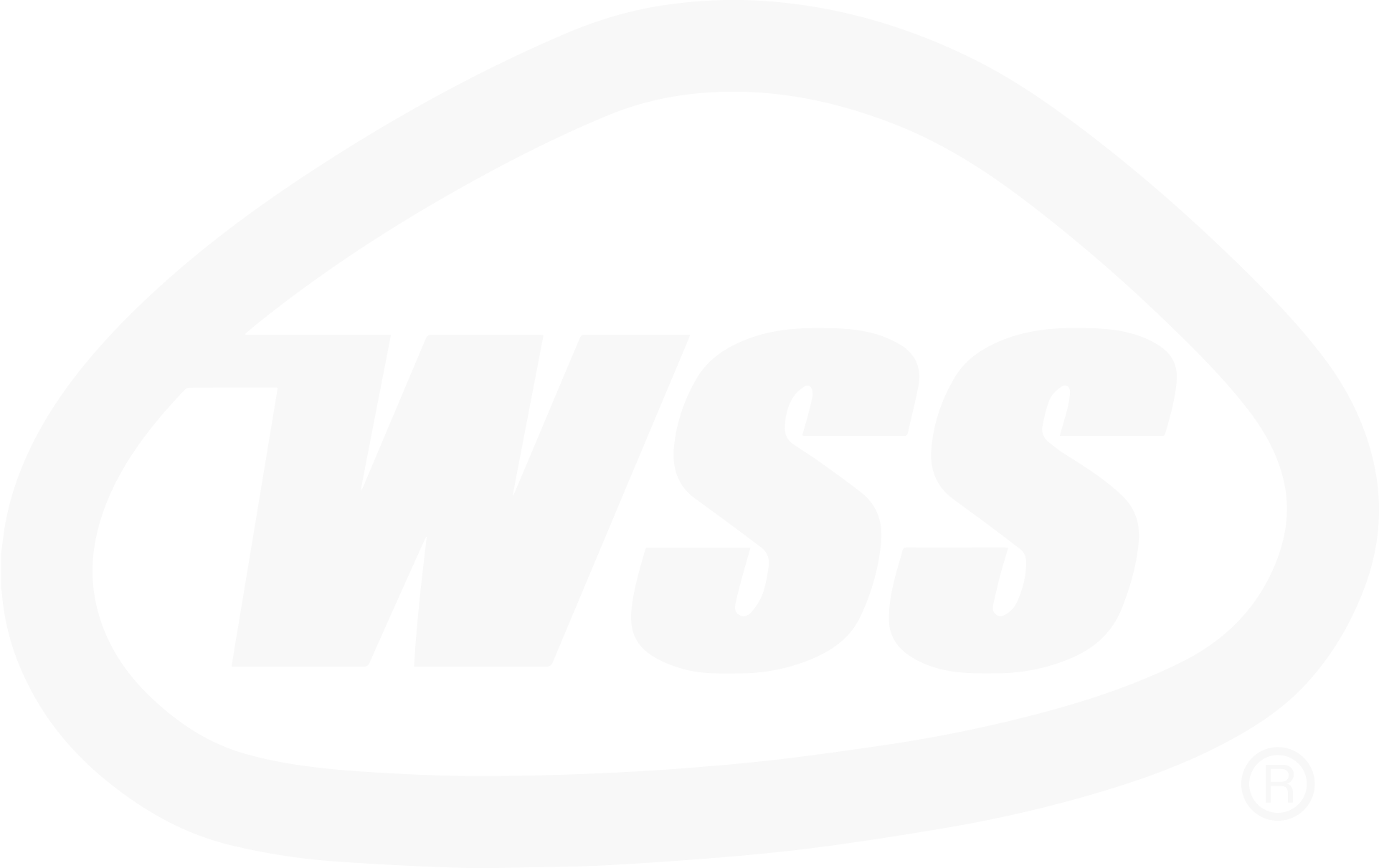 WSS Logo